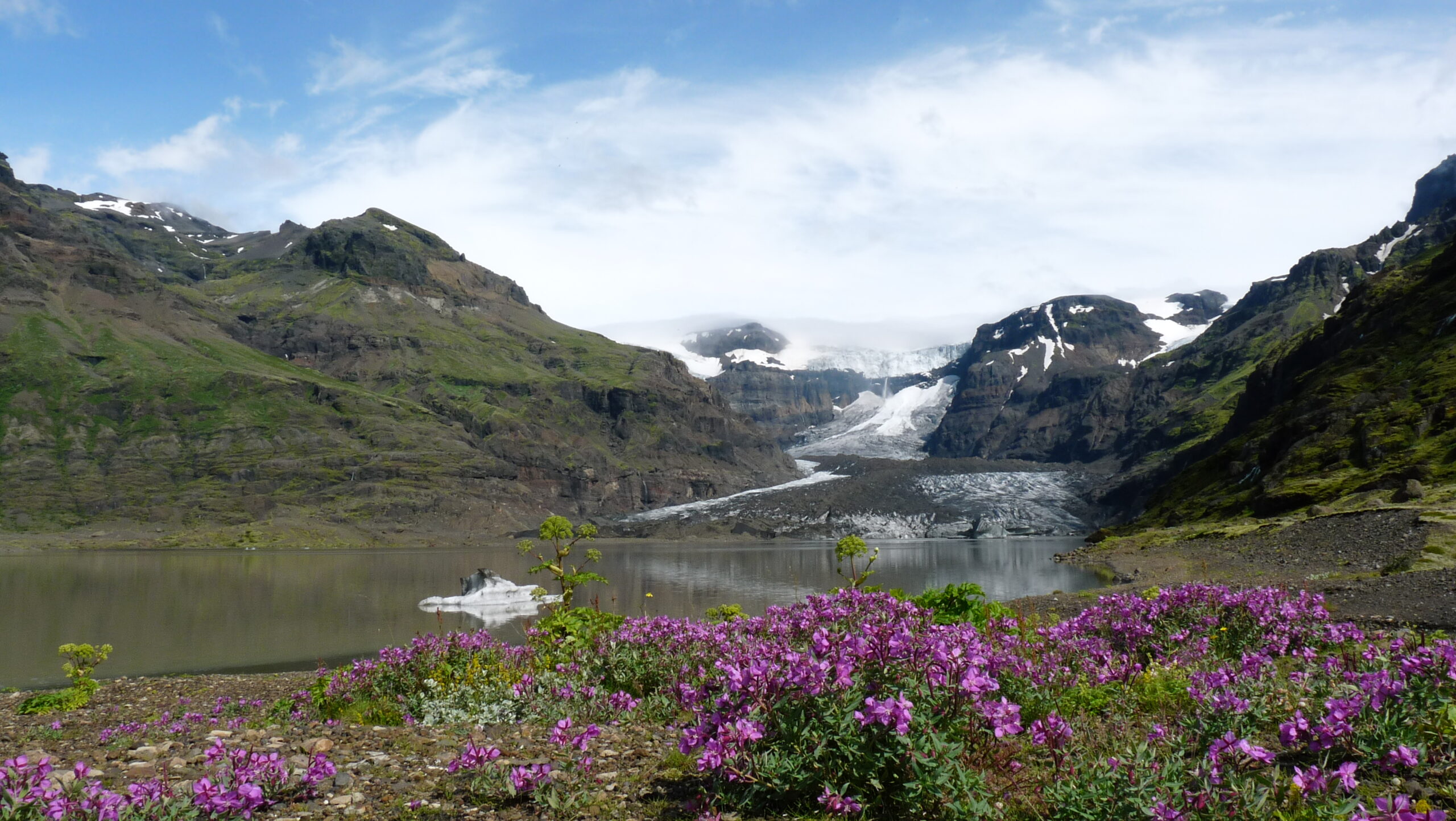 Déambulations et randonnées à la journée en Islande